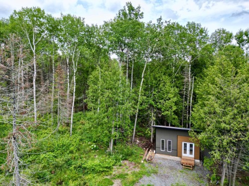 Lot - 806 Ch. Du Royaume-Des-Cèdres, Saint-Bruno-De-Guigues, QC 