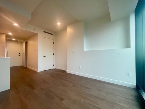 Salon - 4508-1210 Rue Jeanne-Mance, Montréal (Ville-Marie), QC - Indoor Photo Showing Other Room