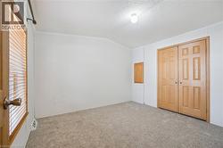 Wall-to-wall carpeting, wood-finish bi-fold doors, and a ceiling-mounted light fixture - 
