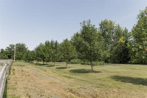 15078 Rd 31N Road, Dufferin, MB - Outdoor With View
