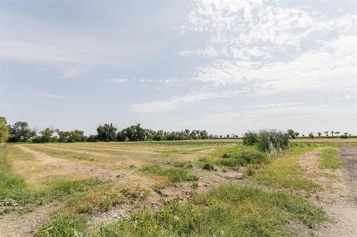 15078 Rd 31N Road, Dufferin, MB - Outdoor With View
