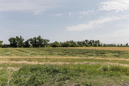 15078 Rd 31N Road, Dufferin, MB - Outdoor With View
