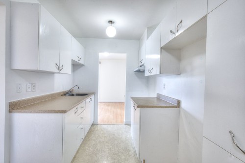 Cuisine - 5-3550 Rue Rivard, Laval (Saint-Vincent-De-Paul), QC - Indoor Photo Showing Kitchen