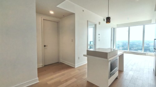 Hall d'entrée/Vestibule - 3412-1288 Rue St-Antoine O., Montréal (Ville-Marie), QC - Indoor