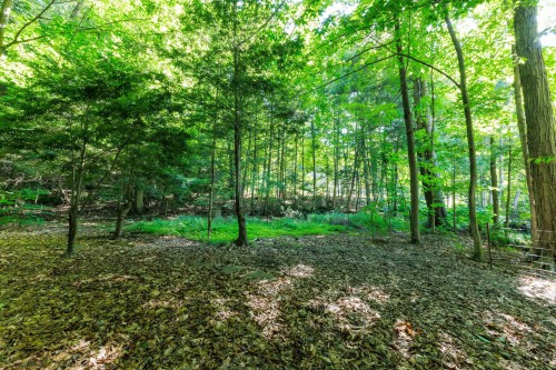 Extérieur - 164 Rue Evergreen, Hudson, QC - Outdoor