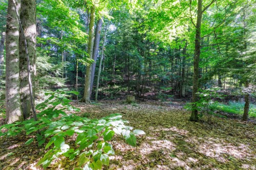 Extérieur - 164 Rue Evergreen, Hudson, QC - Outdoor