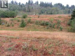 Lot 6 Pearson Road Castlegar, BC V1N 4L2