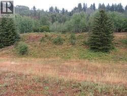 Lot 3 Pearson Road Castlegar, BC V1N 4L2