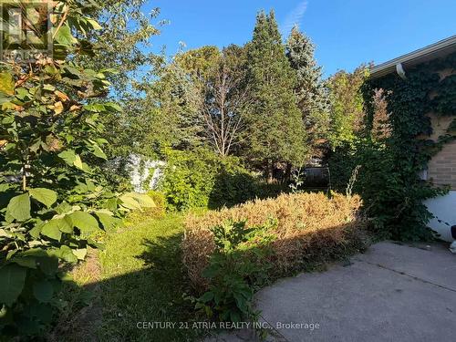 LOWER - 76 BERNICK DRIVE , Barrie, Ontario L4M 2V6 3