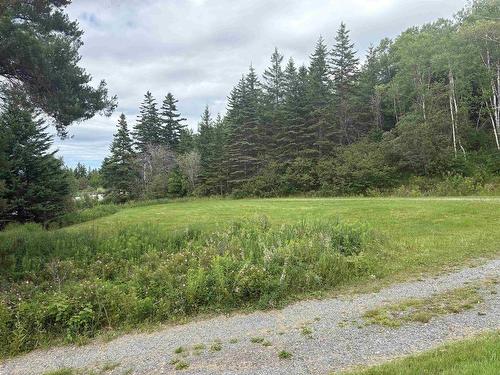 4367 Highway 105 Highway, South Haven, NS - Outdoor With View