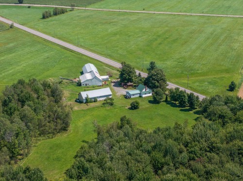 Vue d'ensemble - 89 Route 222, Sainte-Christine, QC 