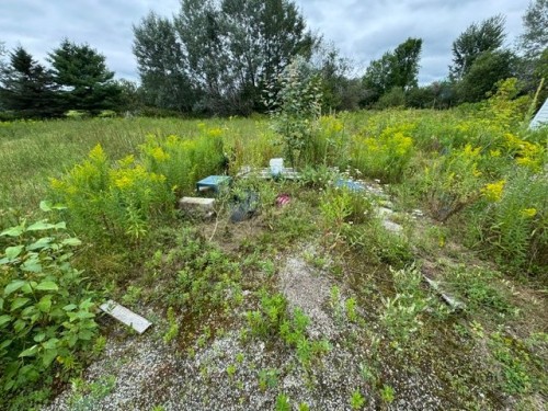 Terre/Terrain - 385 Route 105, Bois-Franc, QC - Outdoor