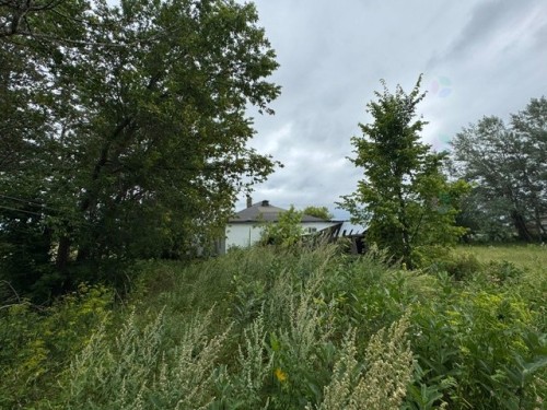 Terre/Terrain - 385 Route 105, Bois-Franc, QC - Outdoor