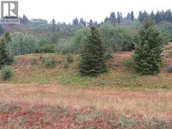 Lot 4 Pearson Road Castlegar, BC V1N 4L2
