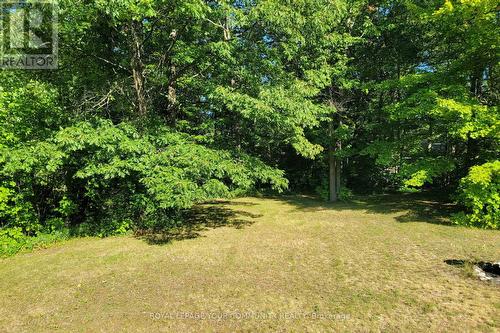 1138 Siesta Drive, Tiny, ON - Outdoor