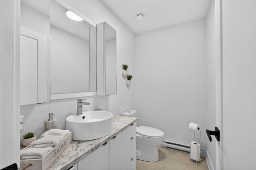 Salle d'eau - 20 Rue Rousse, Sainte-Clotilde, QC - Indoor Photo Showing Bathroom