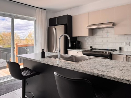 Cuisine - 104 Place Rancourt, L'Épiphanie, QC - Indoor Photo Showing Kitchen With Double Sink With Upgraded Kitchen