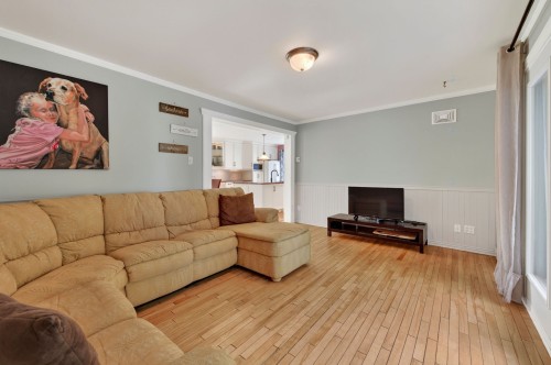 Salon - 205 Rue Des Sources, Saint-Calixte, QC - Indoor Photo Showing Living Room