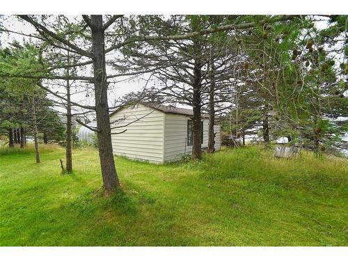 11 Downeys Lane, Colinet, NL - Outdoor