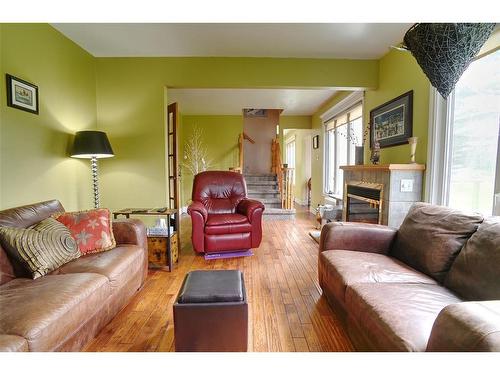 11 Downeys Lane, Colinet, NL - Indoor Photo Showing Living Room With Fireplace