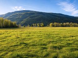 110 Parsons Road  Mara, BC V0E 2K0
