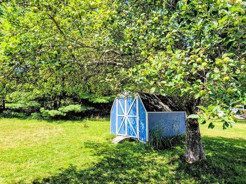287 Leary Fraser Road, Dayspring, NS 