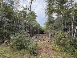 Lot S-2 Miner Meadow Road  Sunken Lake, NS B4P 2R2