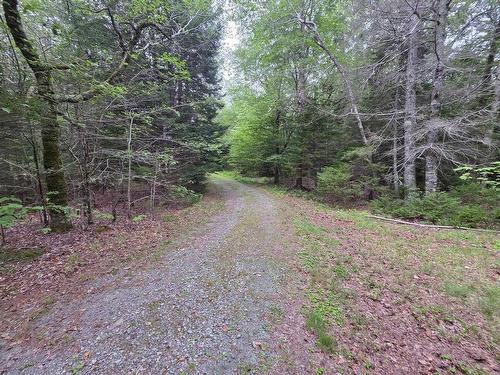 Lot 1 Old North Range Road, Ashmore, NS 