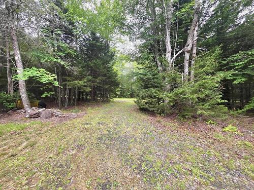 Lot 1 Old North Range Road, Ashmore, NS 