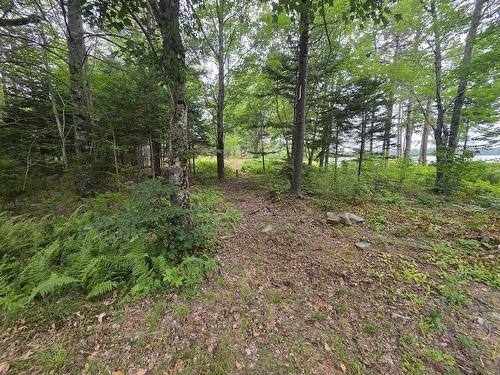 Lot 1 Old North Range Road, Ashmore, NS 