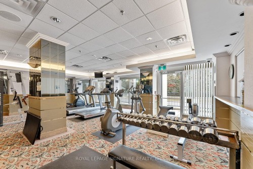 206-18 Hollywood Avenue, Toronto, ON - Indoor Photo Showing Gym Room