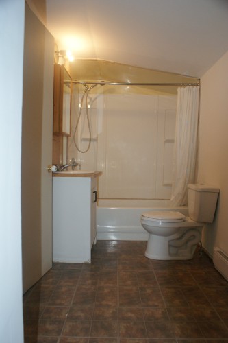 Salle de bains - 136 Route 263 N., Saint-Norbert-D'Arthabaska, QC - Indoor Photo Showing Bathroom
