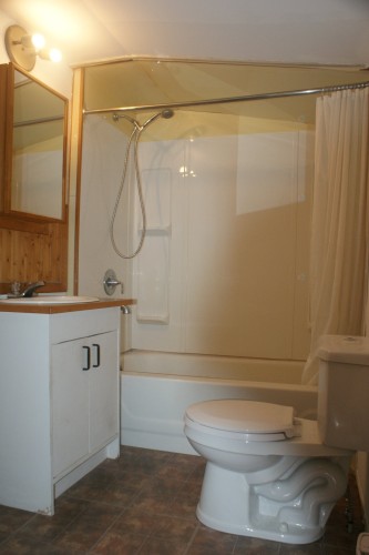 Salle de bains - 136 Route 263 N., Saint-Norbert-D'Arthabaska, QC - Indoor Photo Showing Bathroom