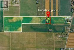 1598 GORE  Harrow, ON N0R 1G0
