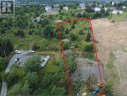 101 Coley's Point South Road  Bay Roberts, NL A0A 1X0