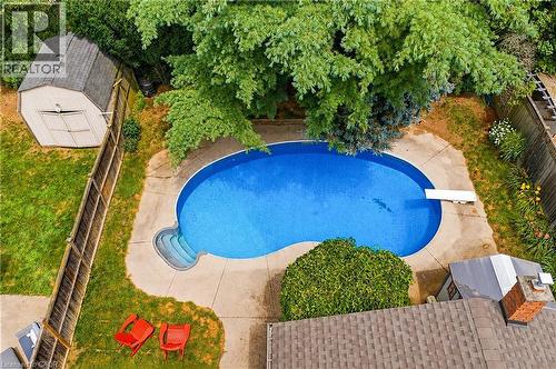 Backyard featuring a kidney-shaped swimming pool with concrete surround and diving board, mature trees, green lawn, and a storage shed - 11 Kimbermount Drive, St. Catharines, ON - Outdoor With In Ground Pool