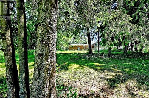 4914 14Th Avenue, Markham, ON - Outdoor