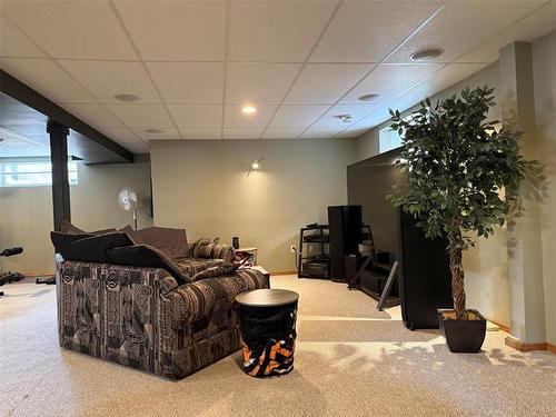 44 Ben Hewak Bay, Winnipeg, MB - Indoor Photo Showing Basement