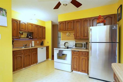 58 Amelia Cr, Winnipeg, MB - Indoor Photo Showing Kitchen With Double Sink
