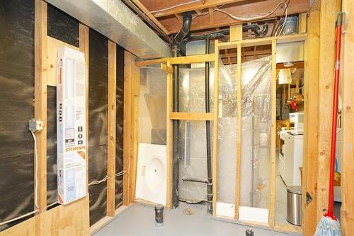 58 Amelia Cr, Winnipeg, MB - Indoor Photo Showing Basement