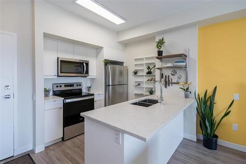 304-50 Philip Lee Dr, Winnipeg, MB - Indoor Photo Showing Kitchen With Double Sink