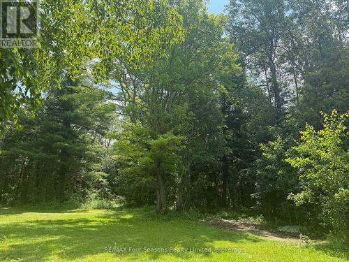 backyard - 7363 Sideroad 33 34 Road, Clearview, ON - Outdoor
