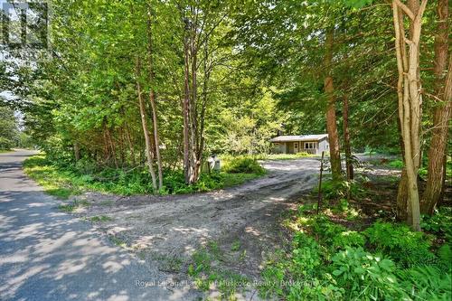 1341 GOLDEN BEACH ROAD  Bracebridge (Monck (Bracebridge)), ON P1L 1W8