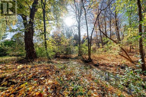 24 Cedarview Drive, Toronto, ON - Outdoor With View