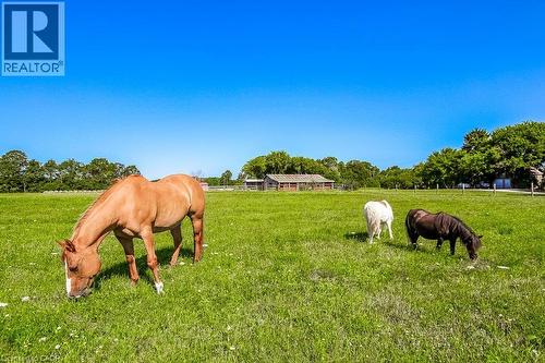 2108 Westbrook Road, Binbrook, ON 