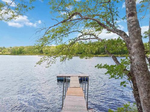 355 Airforce Camp Road, Springfield, NS 