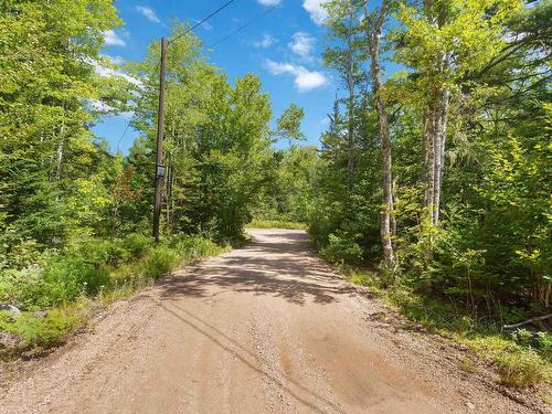 355 Airforce Camp Road, Springfield, NS 