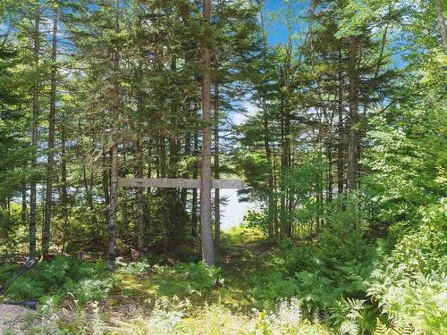 355 Airforce Camp Road, Springfield, NS 