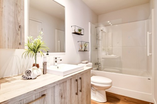 Bathroom - 306-165 Rue Bouthillier N., Saint-Jean-Sur-Richelieu, QC - Indoor Photo Showing Bathroom