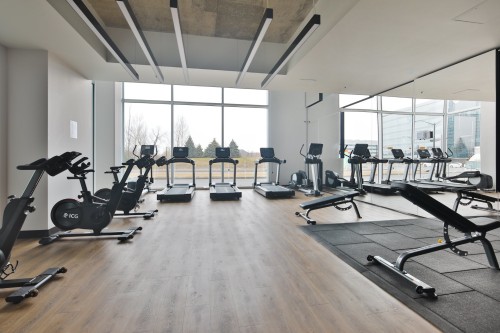 Salle d'exercice - 205-700 Rue Des Éclaircies, Brossard, QC - Indoor Photo Showing Gym Room